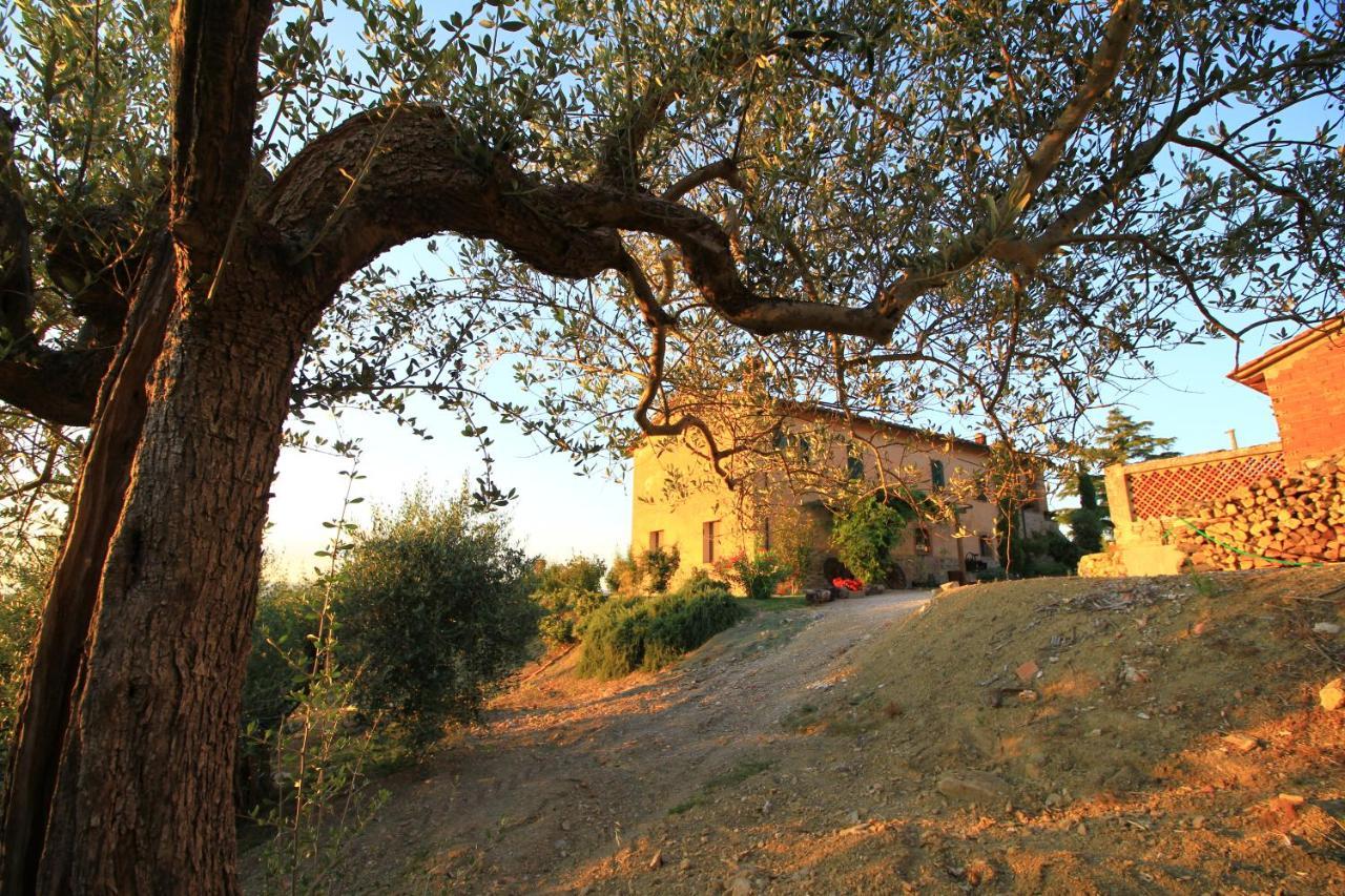 Casolare Marconi Apartment Panicale Bagian luar foto